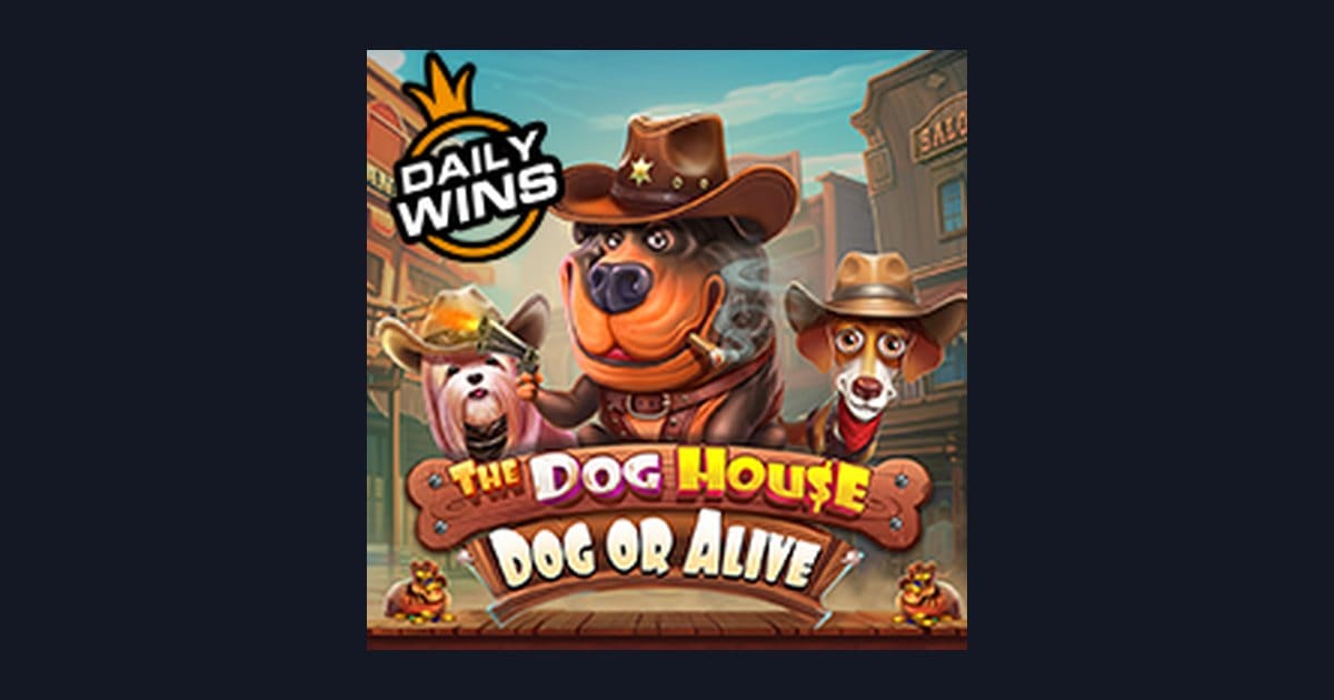 Cara Jitu Menang di Slot The Dog House Dog Or Alive untuk Pemula