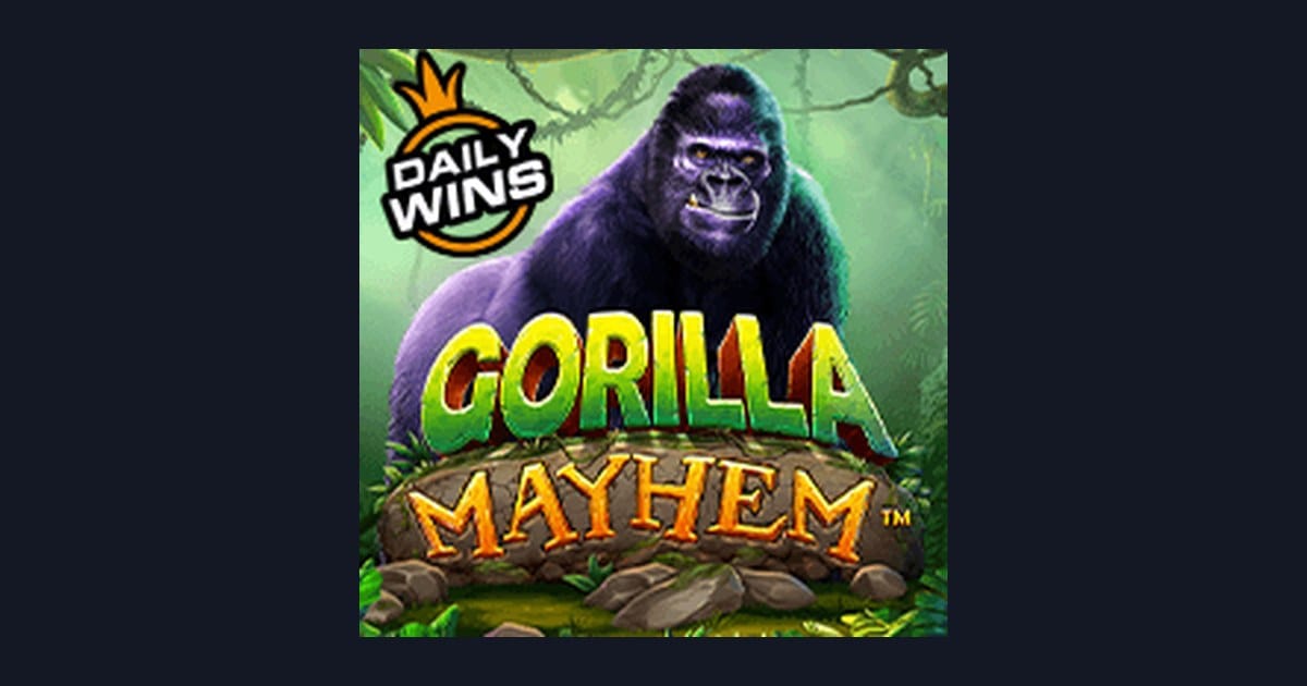 Gorilla Mayhem dengan Info RTP Live Tertinggi dan Strategi Modal Minim