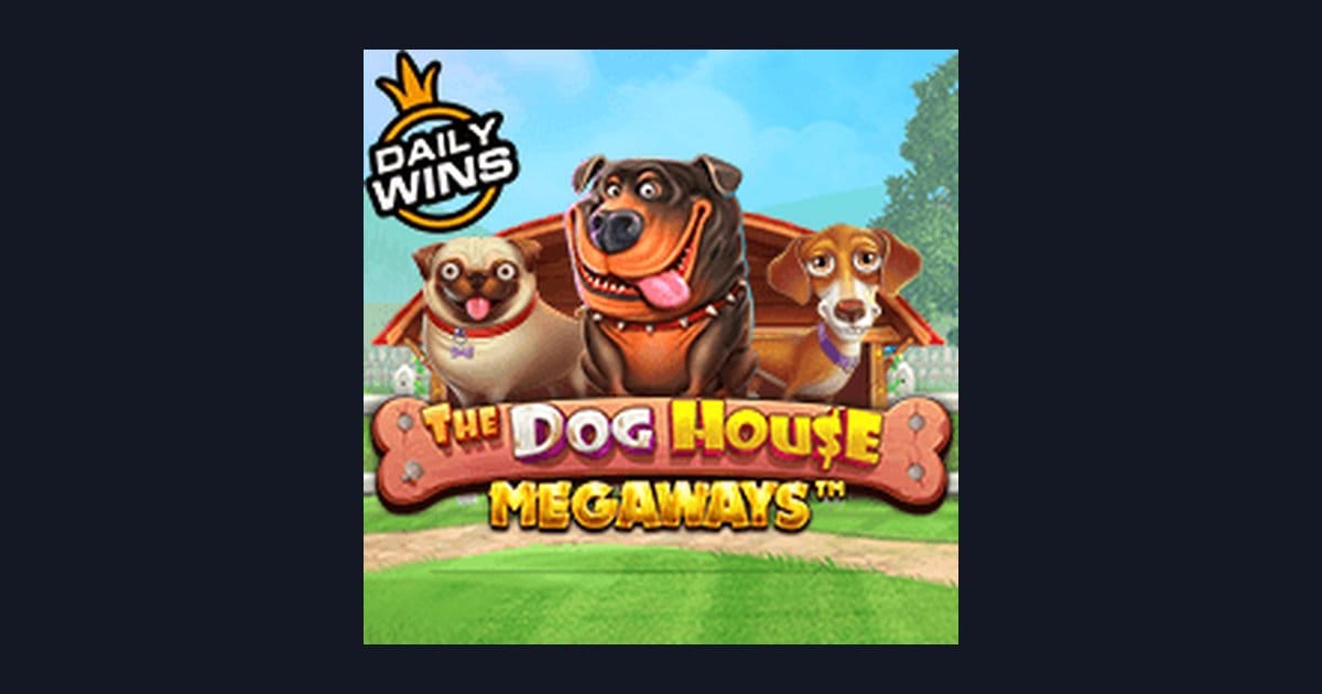 Rasakan Serunya The Dog House Megaways dengan Daftar & Login Gampang